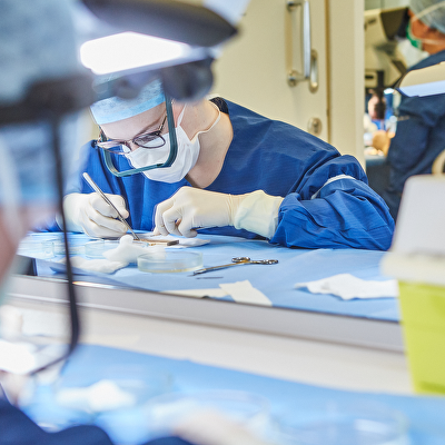 Vacature: Haartransplantatie-assistent (24–40 uur)