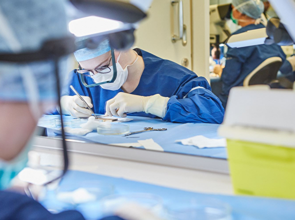 Het plaatsen van het haar