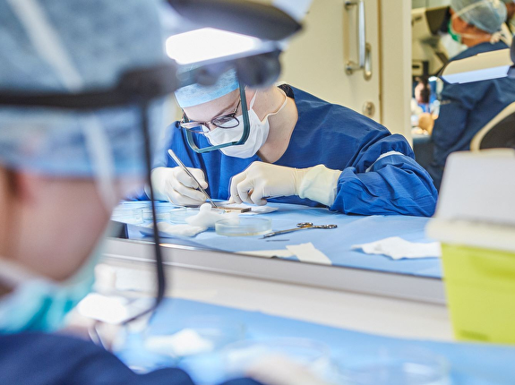 De beste haartrans- plantatie technieken