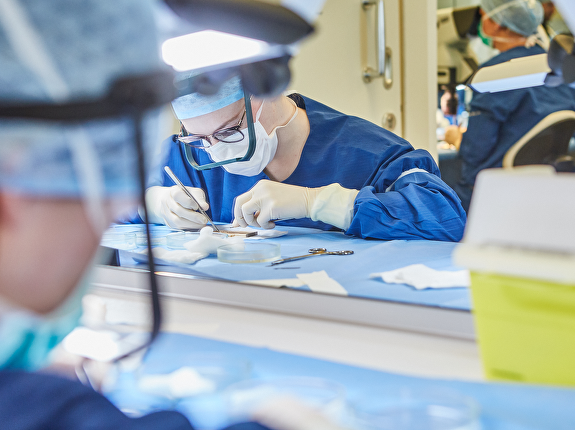 Wat zijn FUE grafts?