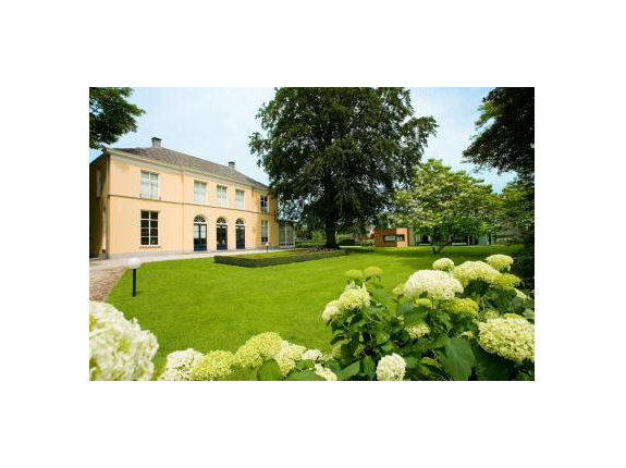 Gratis haartransplantatie consult in Vlijmen