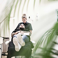 Transhair: Whitepaper Haaruitval